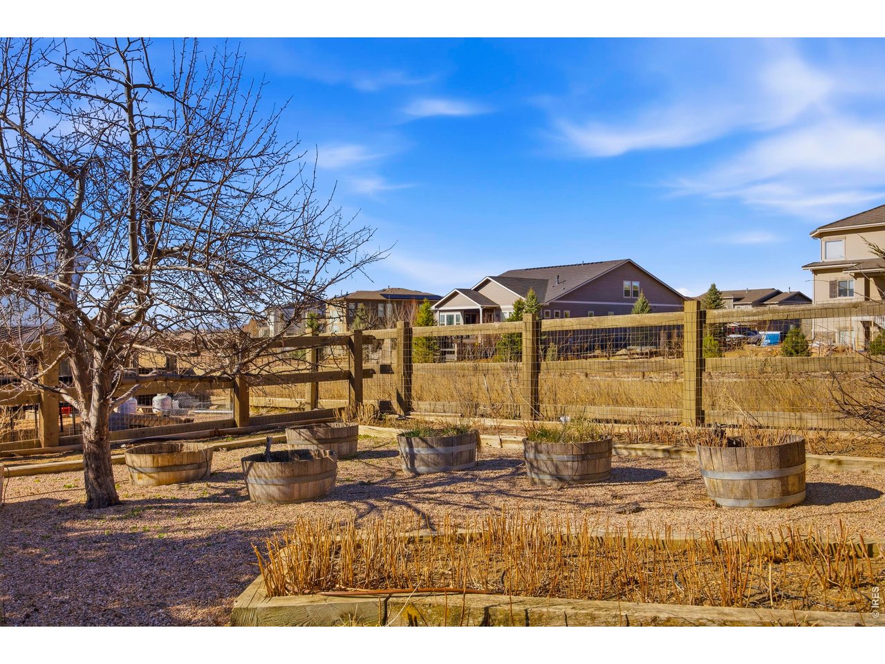 6580 Rookery Road Fort Collins, CO 80528 - Photo 41 of 44 Raised beds for veggie garden