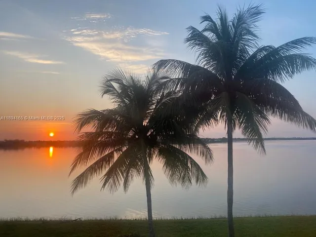 a view of outdoor space with palm trees