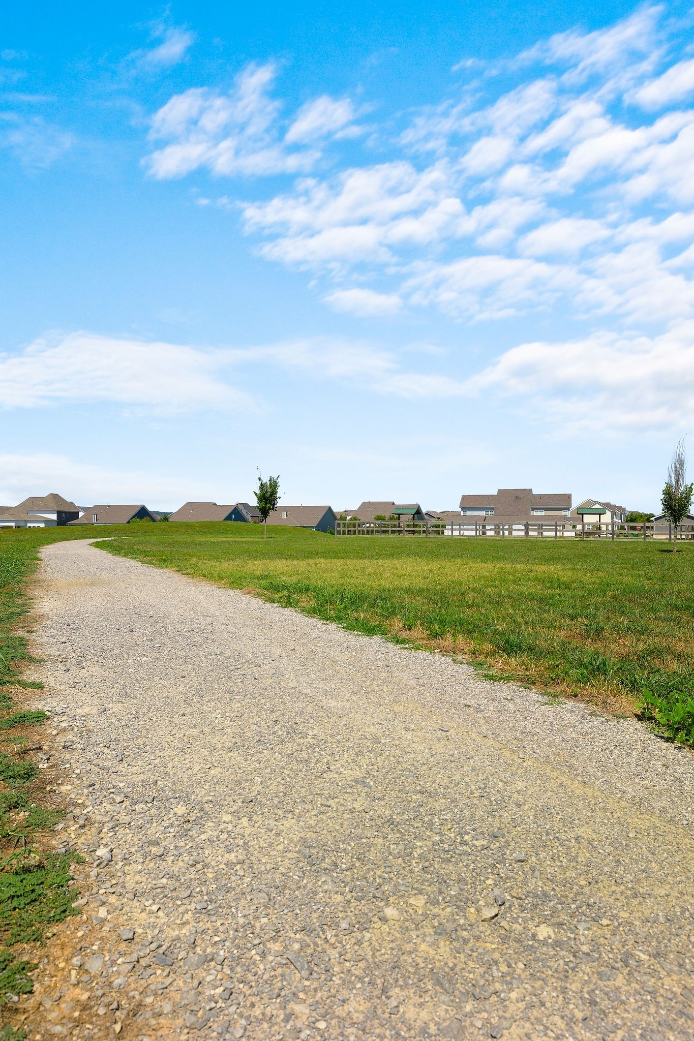1247 June Wilde Ridge Spring Hill, TN 37174 - Photo 45 of 47 a view of a lake