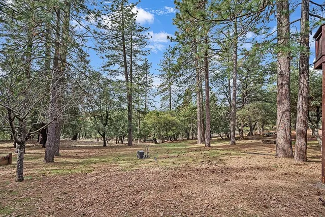 a view of a yard with a table and chairs under an umbrella