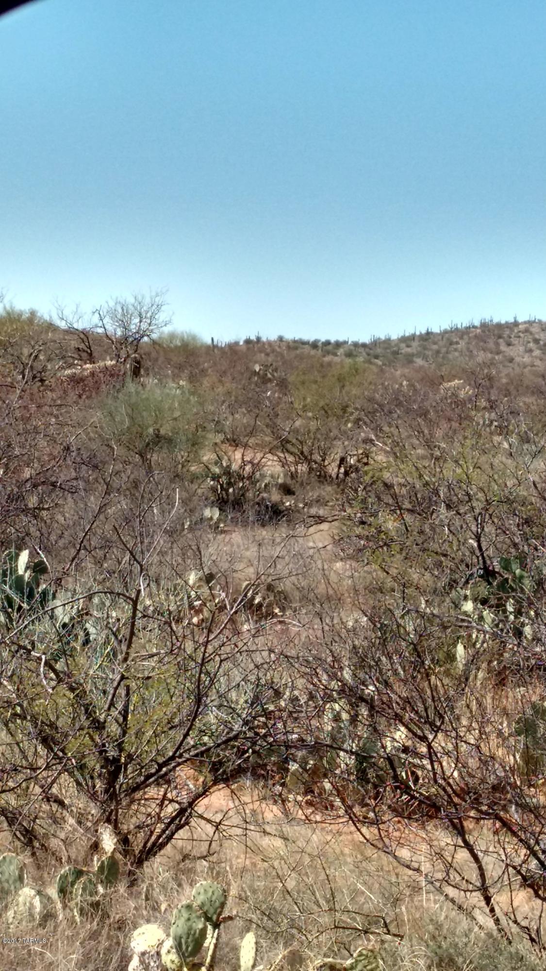 0 South Rolling Tumbleweed Road Vail, AZ 85641 - Photo 2 of 2