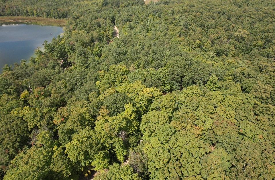 16568 Wagner Road Lake Ann, MI 49650 - Photo 26 of 79 1947392-2efdc58e-0816-45be-8810-3d13fa6e3fe3.JPG