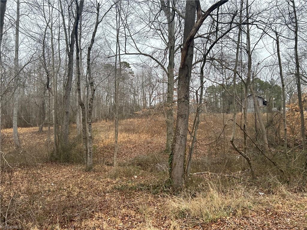 0 Welcome-Arcadia Road Lexington, NC 27295 - Photo 5 of 5 Gallery Image 5