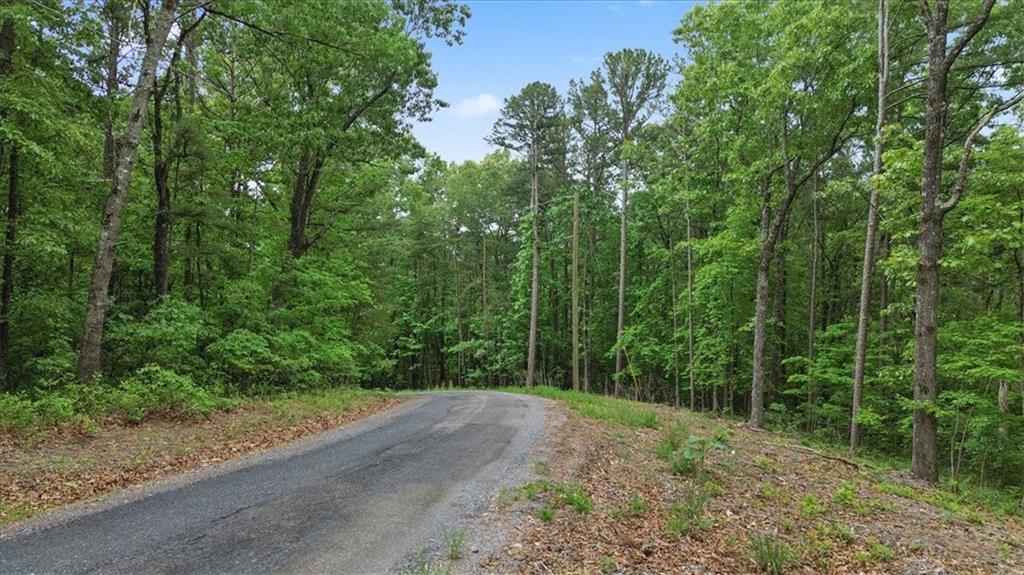 1563 Crystal Lane Northeast Ranger, GA 30734 - Photo 1 of 31 a view of a forest filled with trees