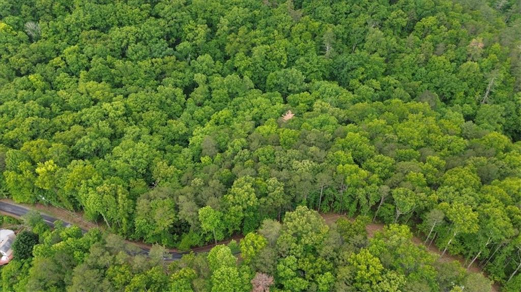 1563 Crystal Lane Northeast Ranger, GA 30734 - Photo 11 of 31 a view of a lush green forest with lots of trees