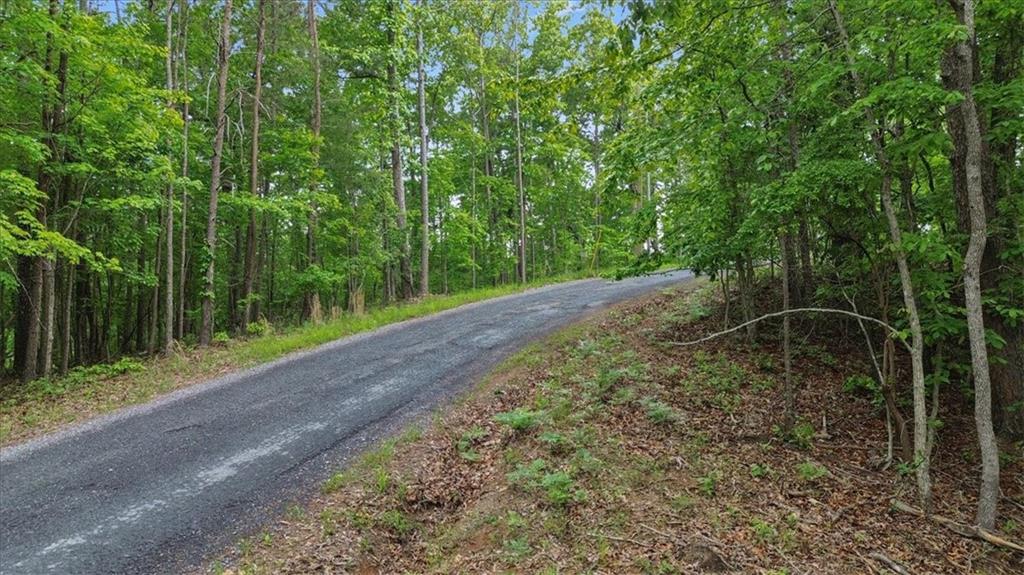 1563 Crystal Lane Northeast Ranger, GA 30734 - Photo 2 of 31 a backyard of a house with lots of green space