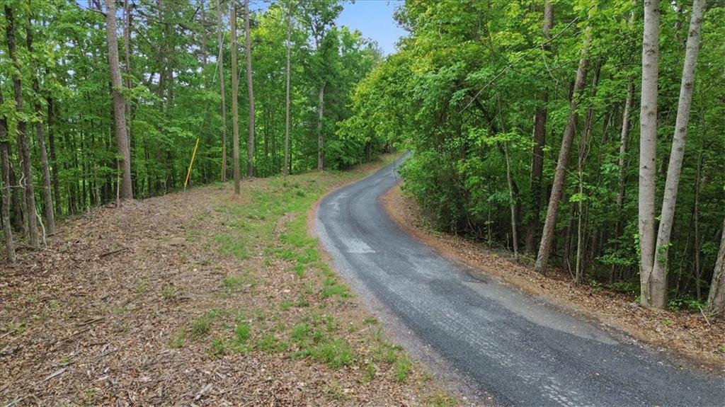 1563 Crystal Lane Northeast Ranger, GA 30734 - Photo 3 of 31