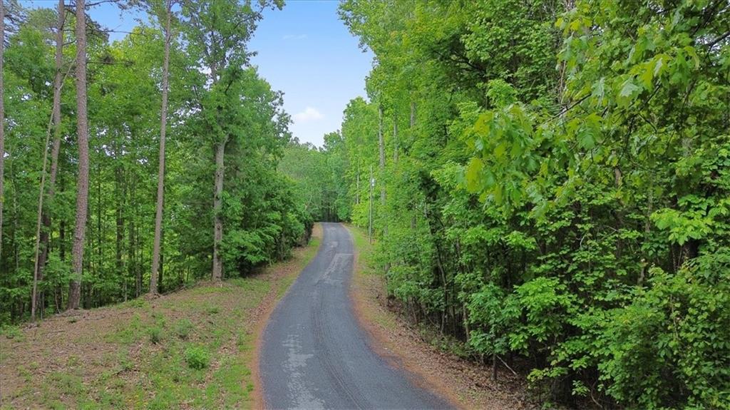 1563 Crystal Lane Northeast Ranger, GA 30734 - Photo 4 of 31 a view of a pathway in a garden