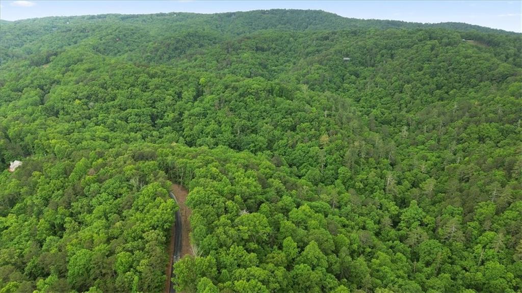 1563 Crystal Lane Northeast Ranger, GA 30734 - Photo 10 of 31 a view of a lush green forest with a mountain