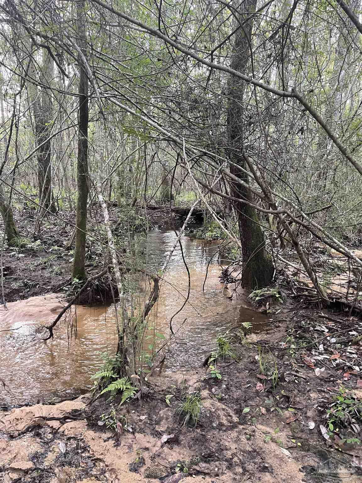 I Knowles Road Flomaton, AL 36441 - Photo 9 of 21
