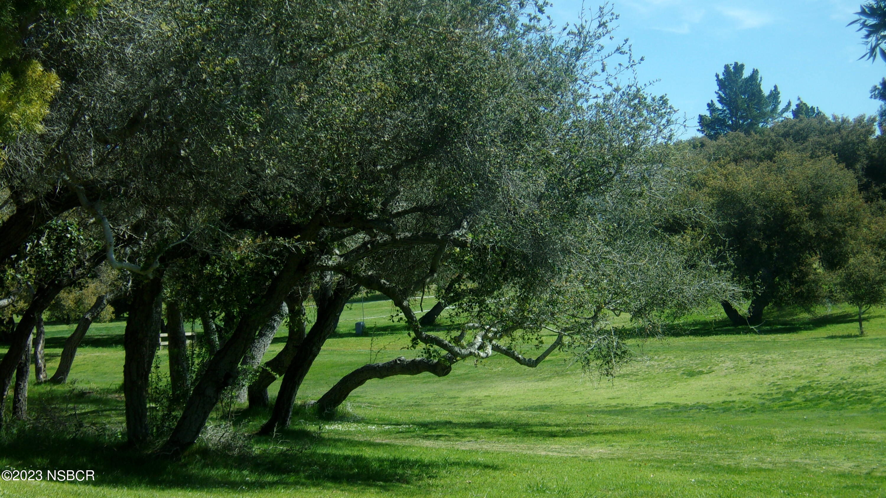46 Stanford Circle Lompoc, CA 93436 - Photo 7 of 24 a green field with lots of bushes