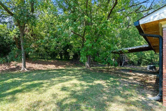 a view of a field with a tree