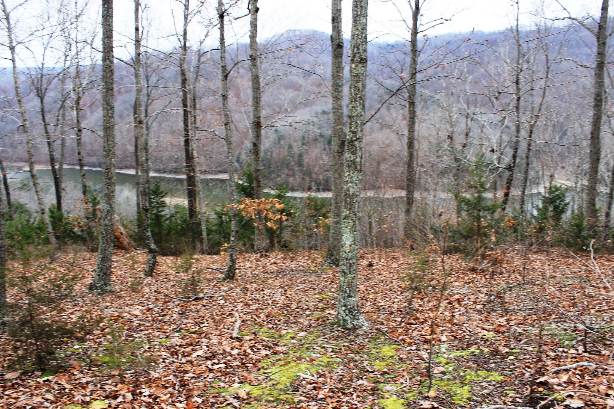 2 Cornerstone Pkwy Point Allons, TN 38541 - Photo 2 of 13