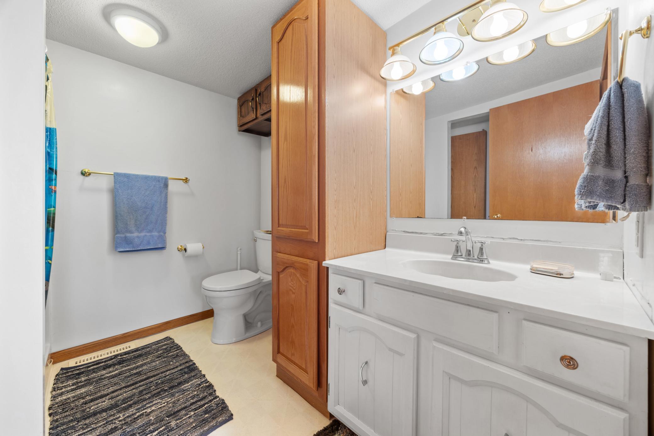 43951 Percheron Loop Pelican Rapids, MN 56572 - Photo 21 of 54