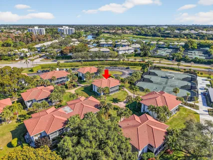 a view of a park with palm trees
