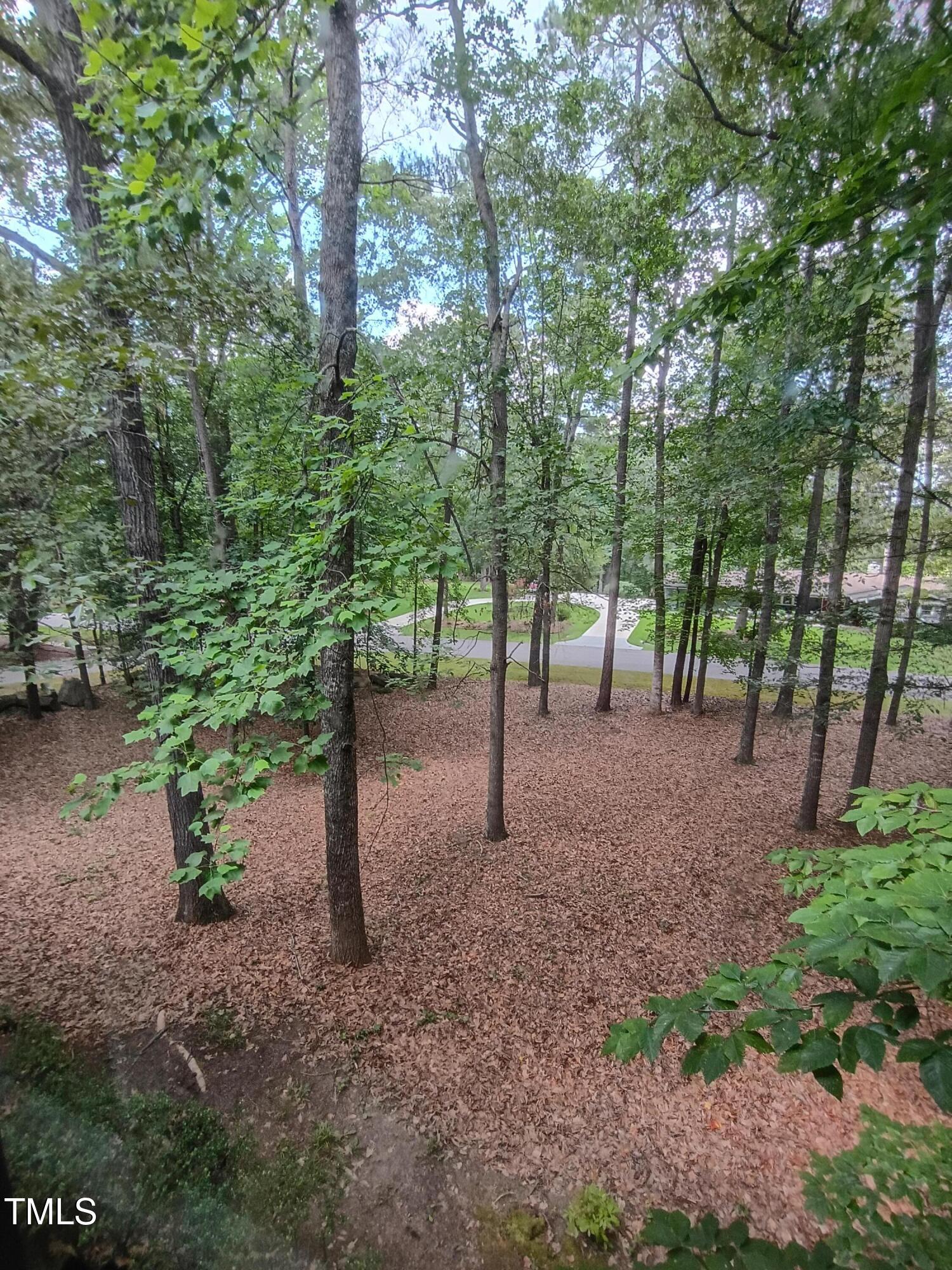3300 Barnsley Lane Raleigh, NC 27604 - Photo 18 of 66 IMG_20250611_160947216_HDR