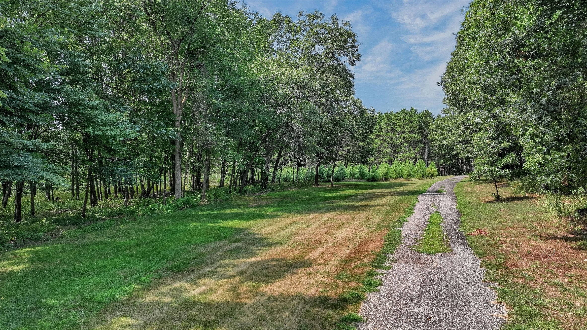 N8481 Kleba Road Hixton, WI 54635 - Photo 41 of 46 Gallery Image 41
