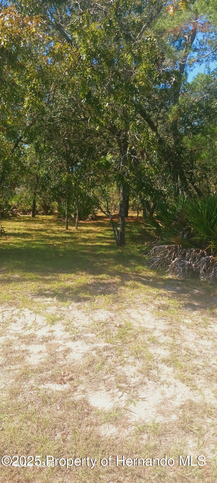 18187 Maberly Road Weeki Wachee, FL 34614 - Photo 2 of 6