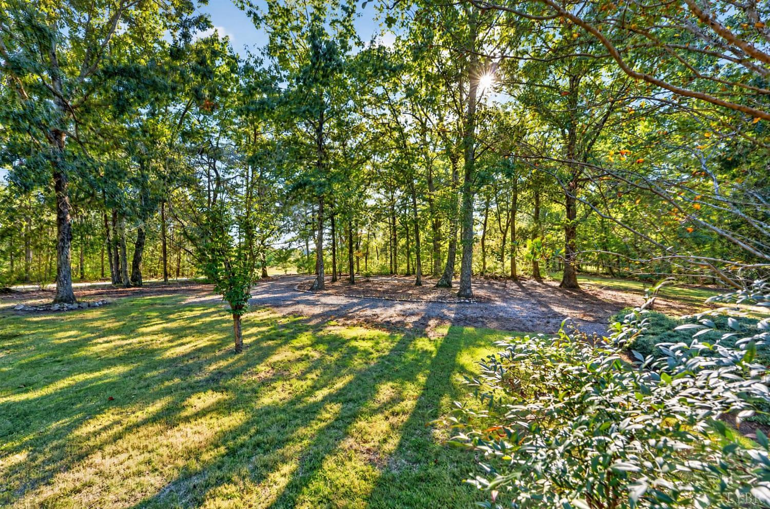 1277 Andersonville Road Dillwyn, VA 23936 - Photo 55 of 76 Gallery Image 55