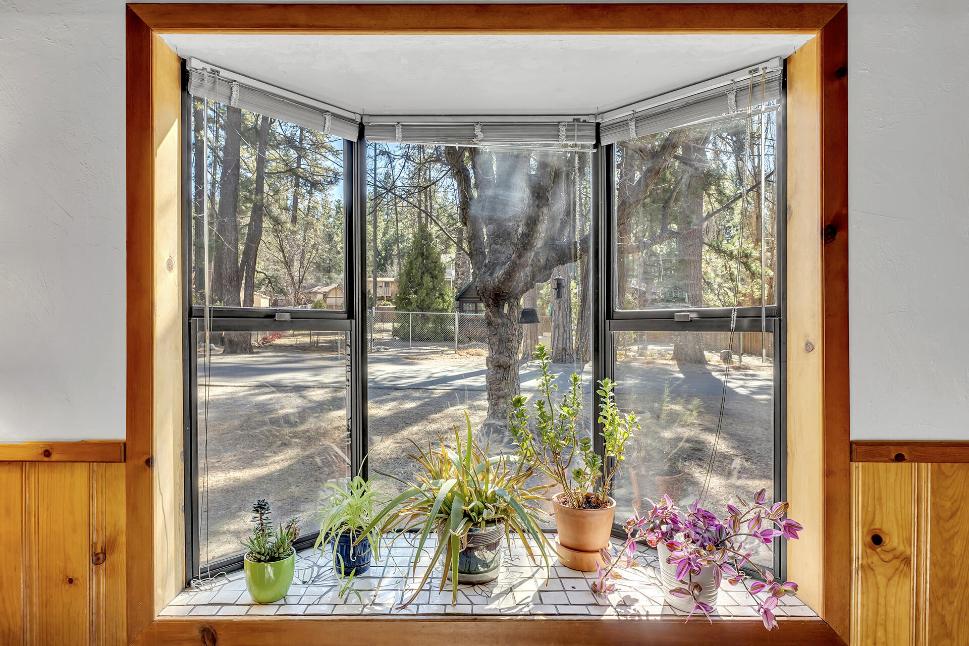 53340 Idyllbrook Drive Idyllwild, CA 92549 - Photo 16 of 68 IMG_2051