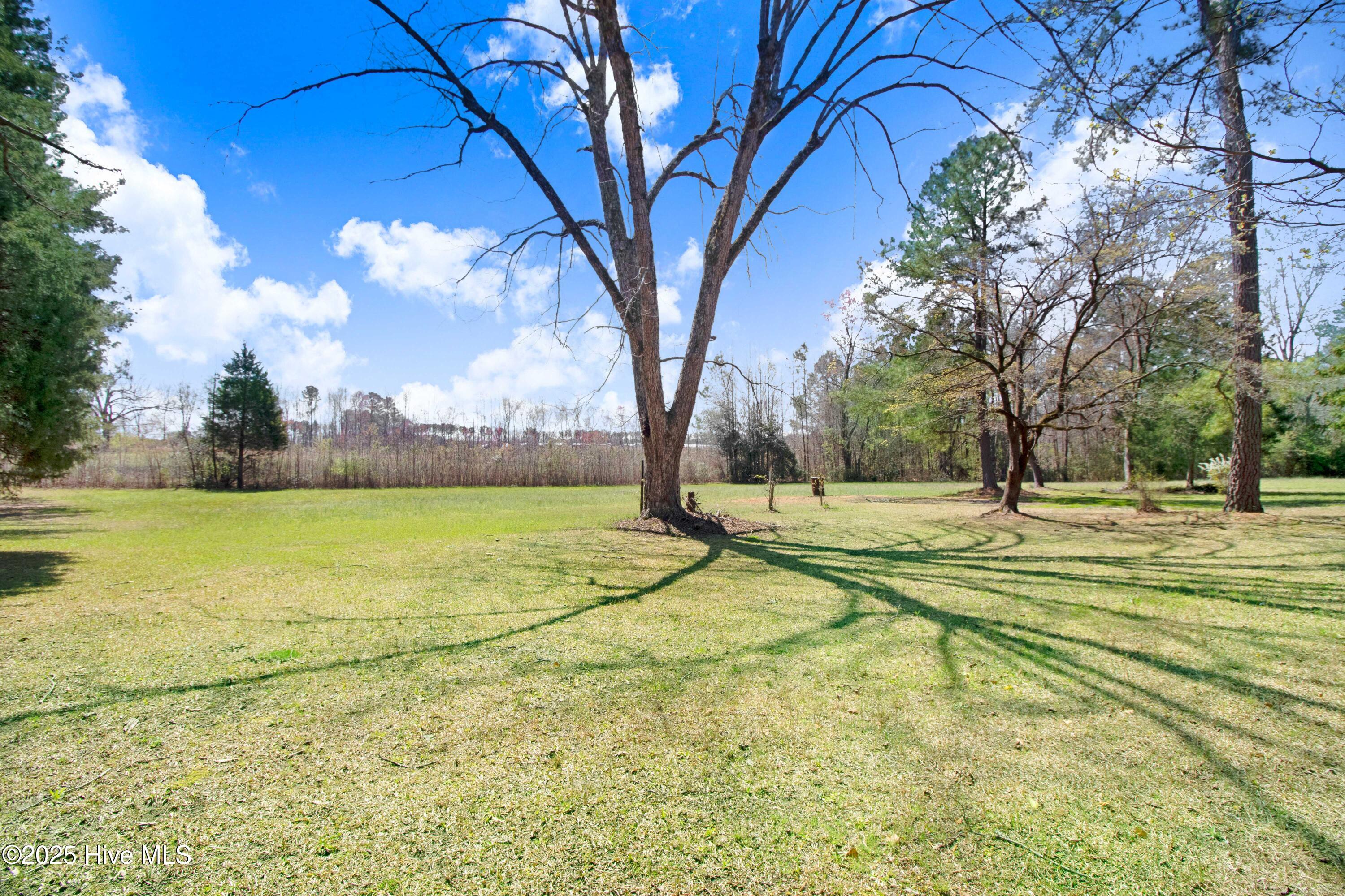 3354 Frazier Road Middlesex, NC 27557 - Photo 7 of 18 1000000237