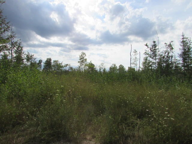 Bloom Road Alpena, MI 49707 - Photo 4 of 5 Gallery Image 4