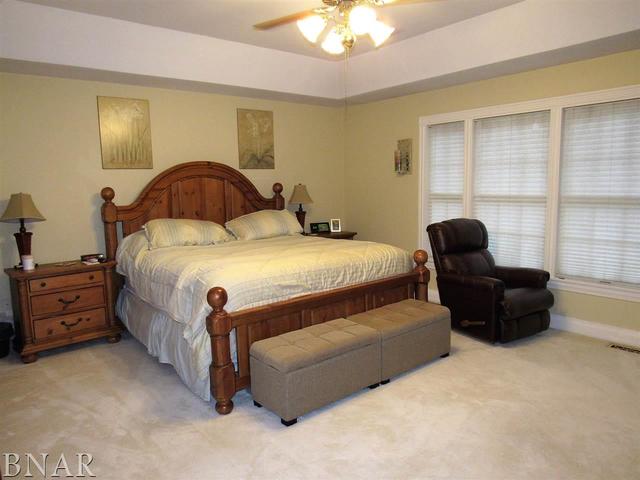 4696 Seven Hills Road Clinton, IL 61727 - Photo 17 of 28