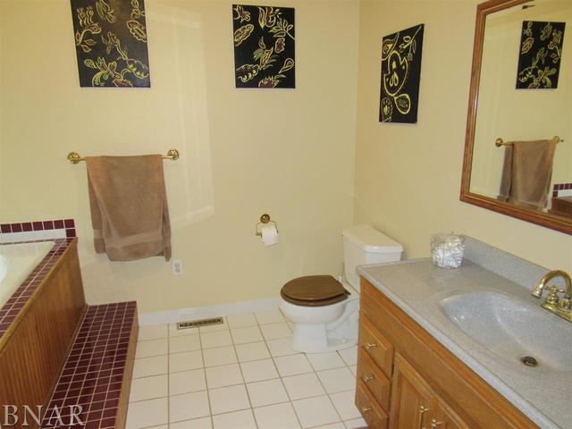 4696 Seven Hills Road Clinton, IL 61727 - Photo 19 of 28