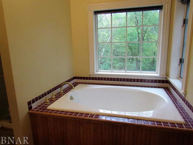 4696 Seven Hills Road Clinton, IL 61727 - Photo 20 of 28
