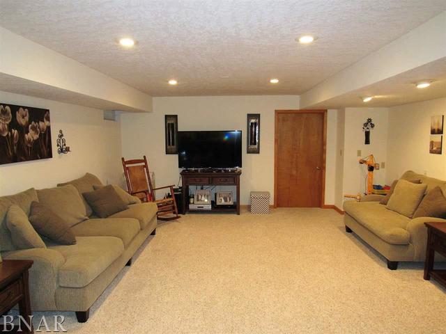4696 Seven Hills Road Clinton, IL 61727 - Photo 25 of 28