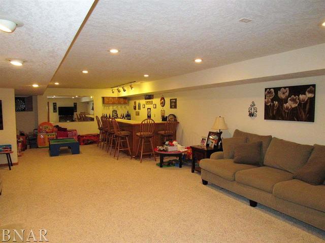 4696 Seven Hills Road Clinton, IL 61727 - Photo 26 of 28