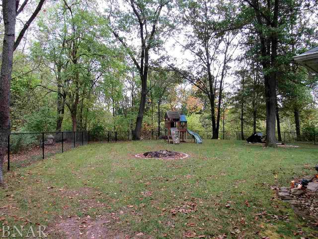 4696 Seven Hills Road Clinton, IL 61727 - Photo 4 of 28