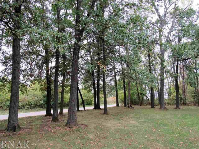 4696 Seven Hills Road Clinton, IL 61727 - Photo 9 of 28