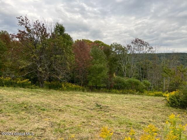 L8 High View Road Richmondville, NY 12149 - Photo 1 of 18 IMG_3420