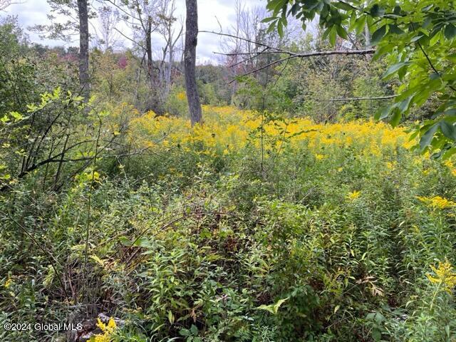 L8 High View Road Richmondville, NY 12149 - Photo 12 of 18 IMG_3431