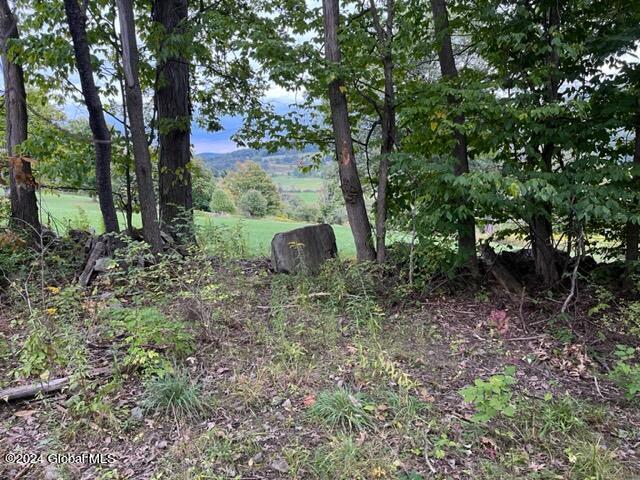 L8 High View Road Richmondville, NY 12149 - Photo 16 of 18 IMG_3432