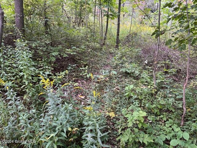 L8 High View Road Richmondville, NY 12149 - Photo 17 of 18 IMG_3433