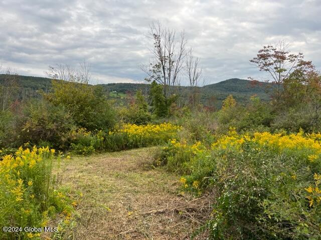 L8 High View Road Richmondville, NY 12149 - Photo 4 of 18 IMG_3418