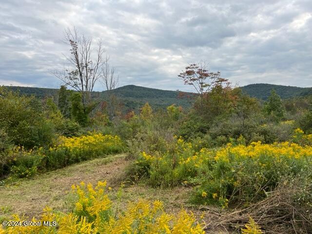 L8 High View Road Richmondville, NY 12149 - Photo 6 of 18 IMG_3421
