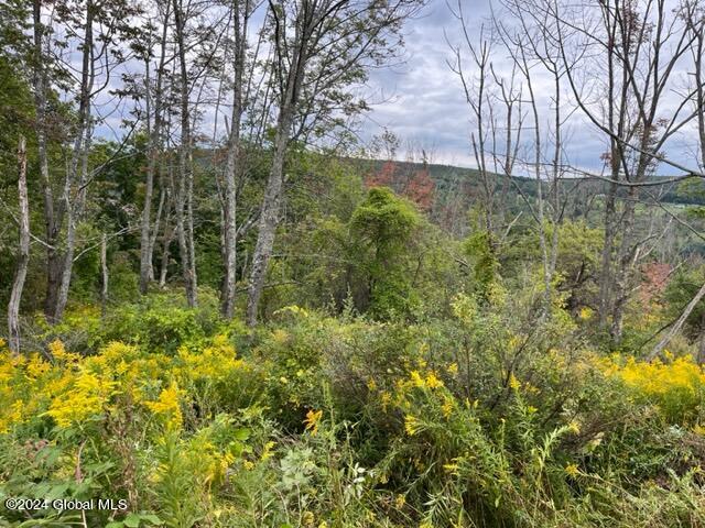 L8 High View Road Richmondville, NY 12149 - Photo 7 of 18 IMG_3426