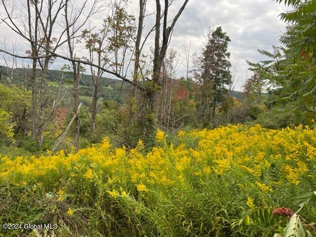 L8 High View Road Richmondville, NY 12149 - Photo 8 of 18 IMG_3427