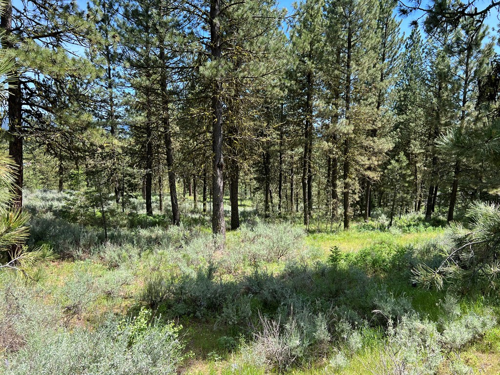 B22-l13 Vardon Road, Unit 13 New Meadows, ID 83654 - Photo 13 of 16