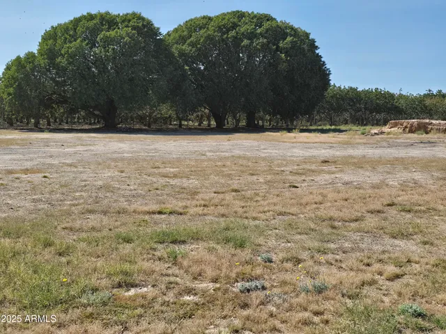 a view of a yard with a bench