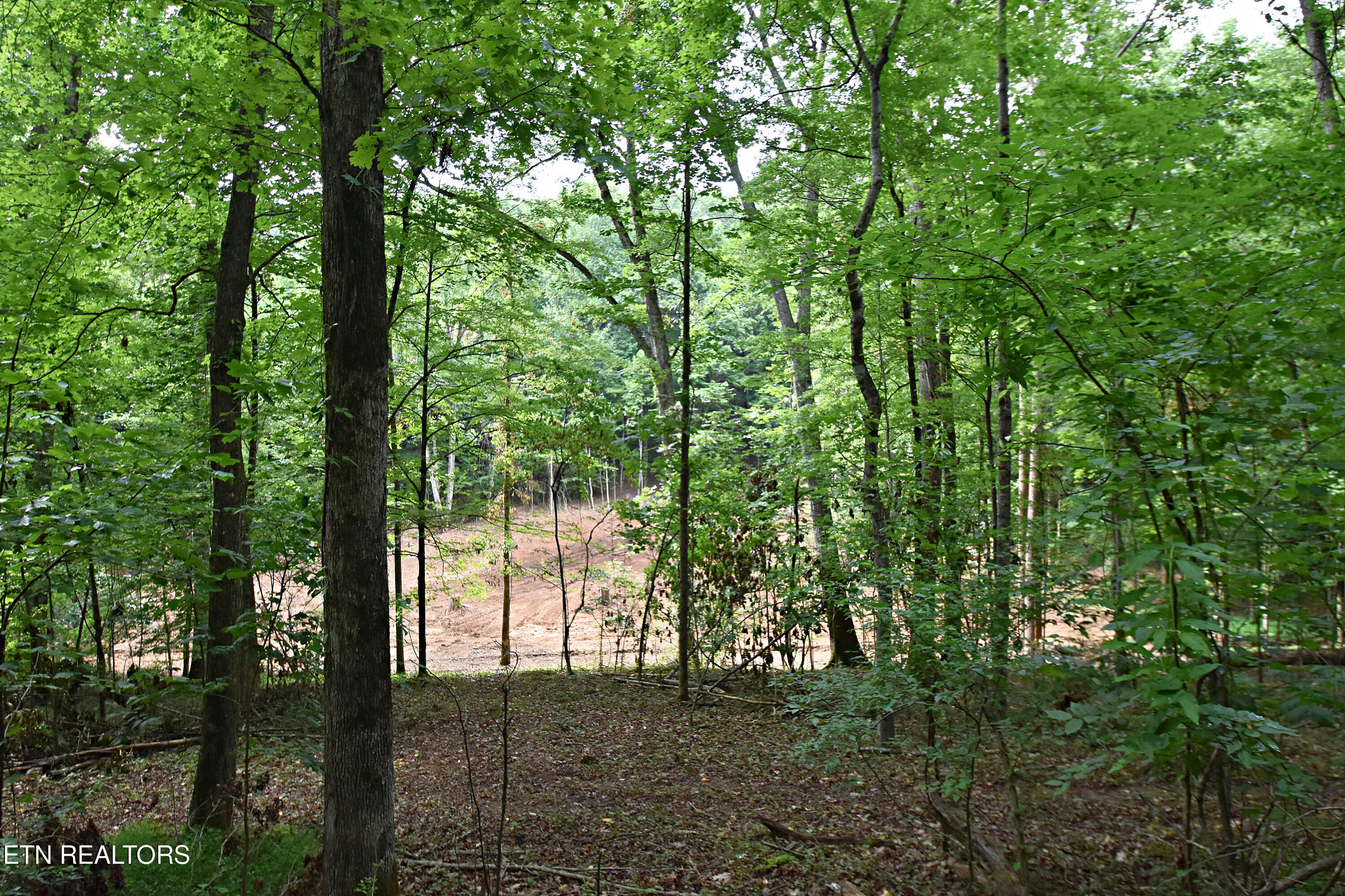 0 Early Road, Unit 3 Knoxville, TN 37922 - Photo 2 of 8 0 Early Road Tract 3
