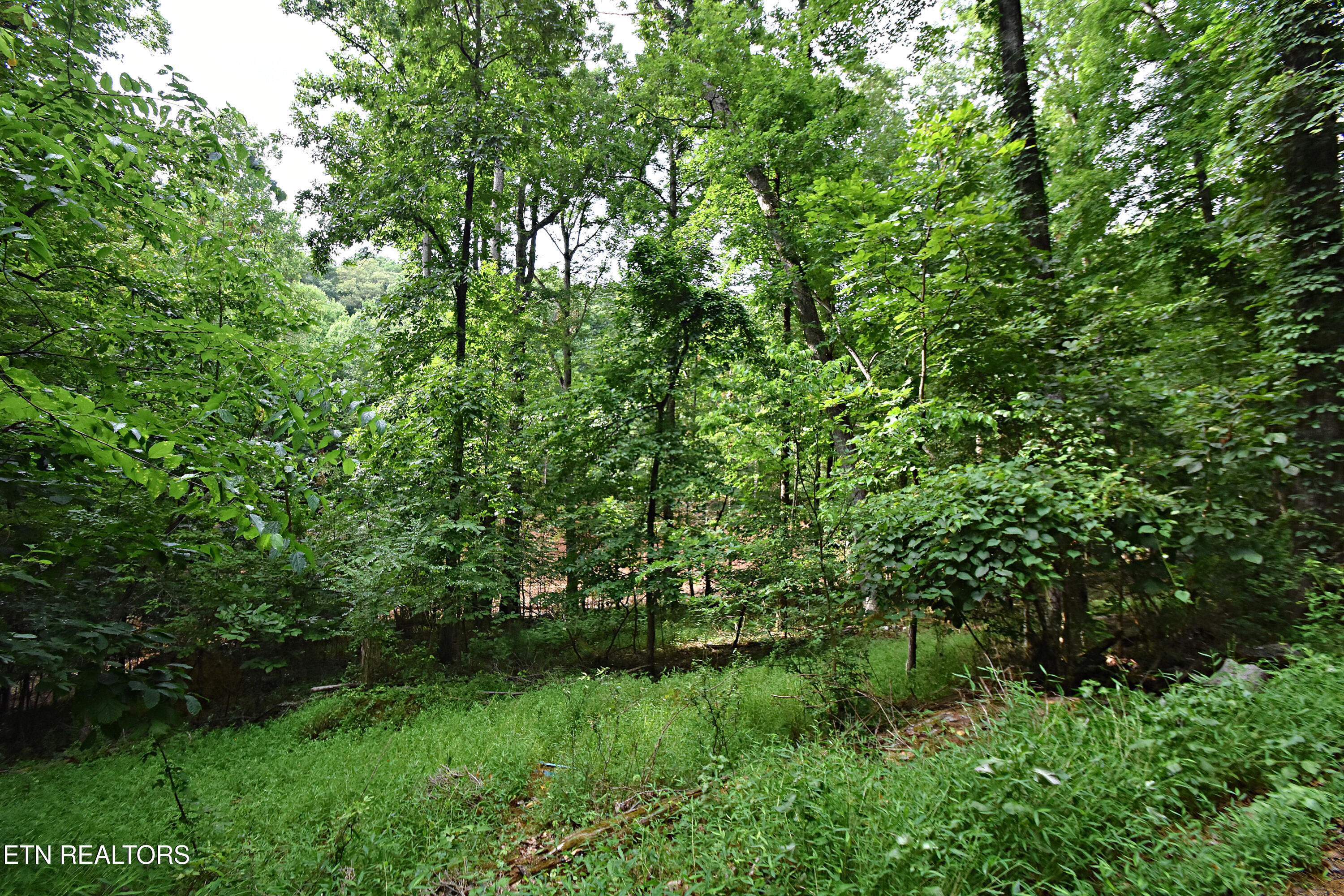 0 Early Road, Unit 3 Knoxville, TN 37922 - Photo 3 of 8 0 Early Road Tract 3