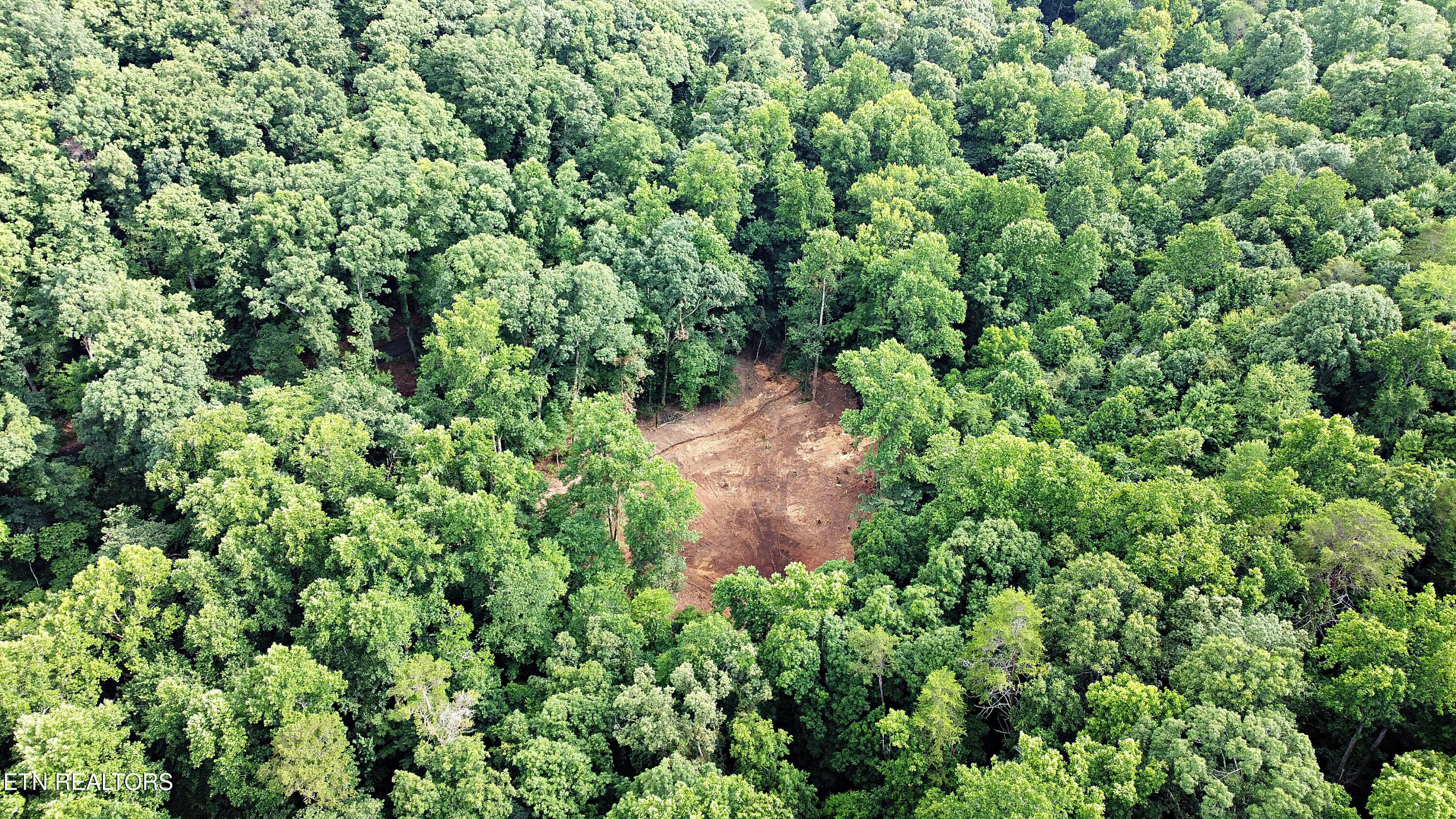 0 Early Road, Unit 3 Knoxville, TN 37922 - Photo 4 of 8 0 Early Road Tract 3