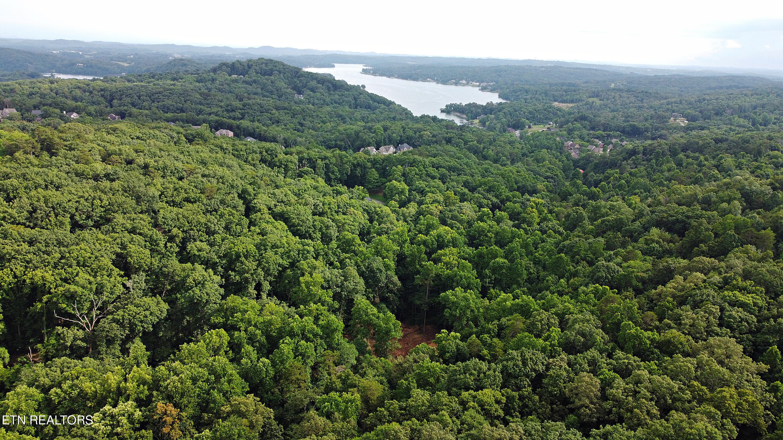 0 Early Road, Unit 3 Knoxville, TN 37922 - Photo 6 of 8 0 Early Road Tract 3