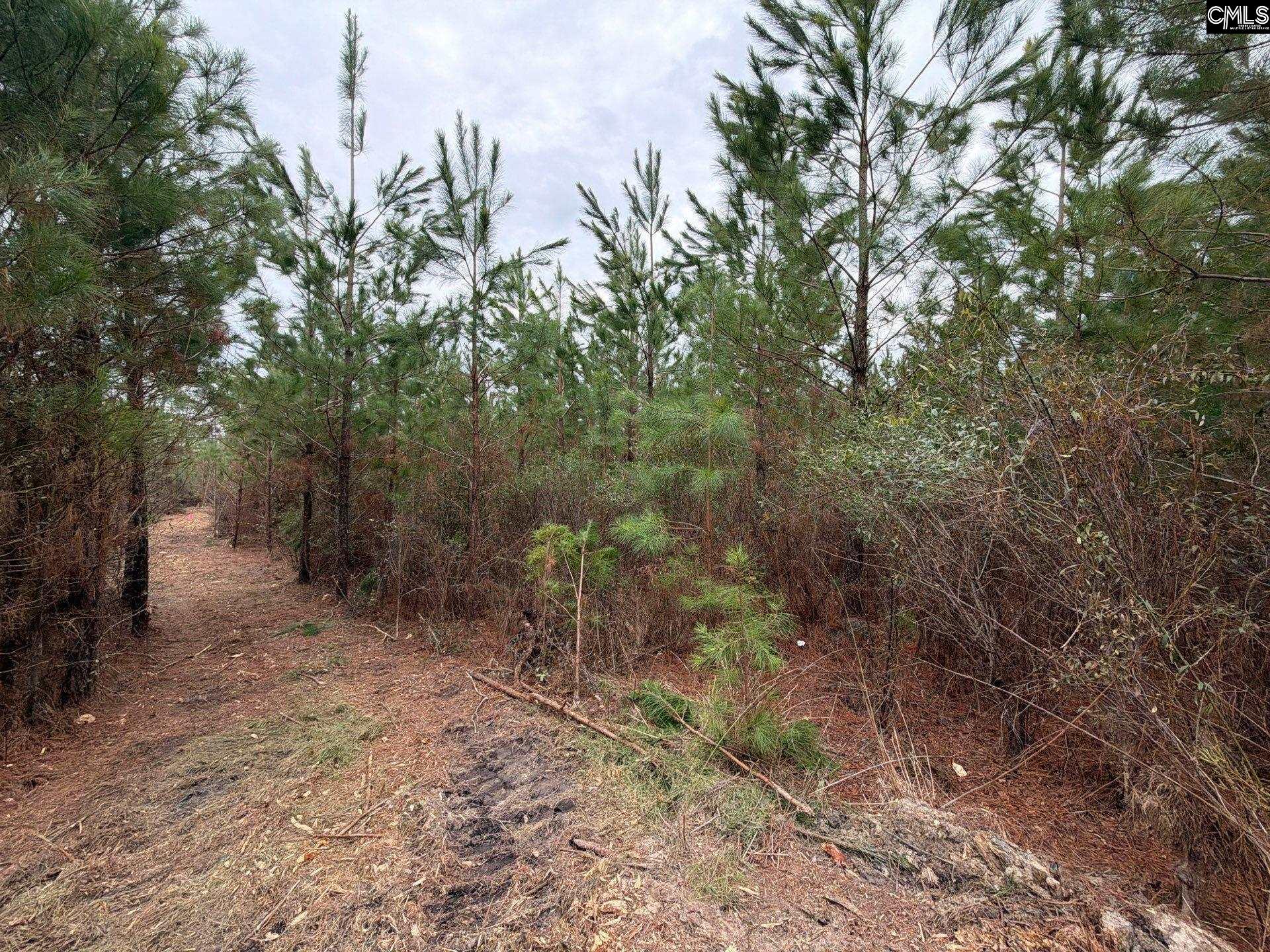 3 Jc Barefoot Road, Unit BFF II 3 Patrick, SC 29584 - Photo 10 of 23