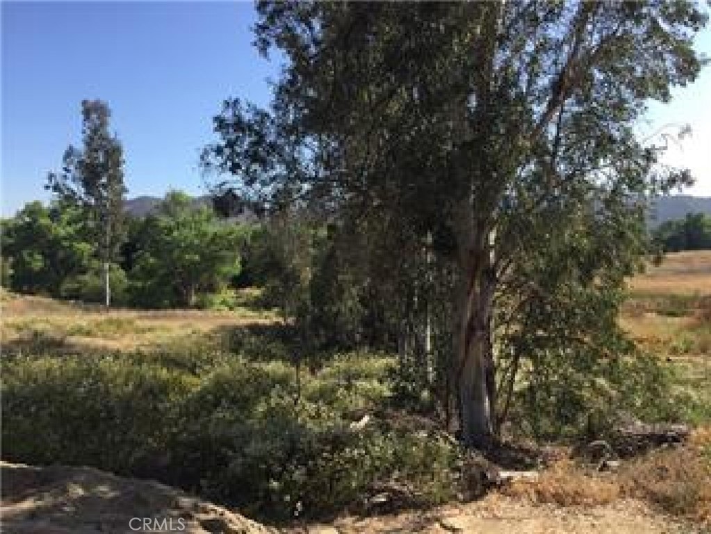 0 Robin Scott Road Murrieta, CA 92562 - Photo 4 of 5 a view of a yard with a tree