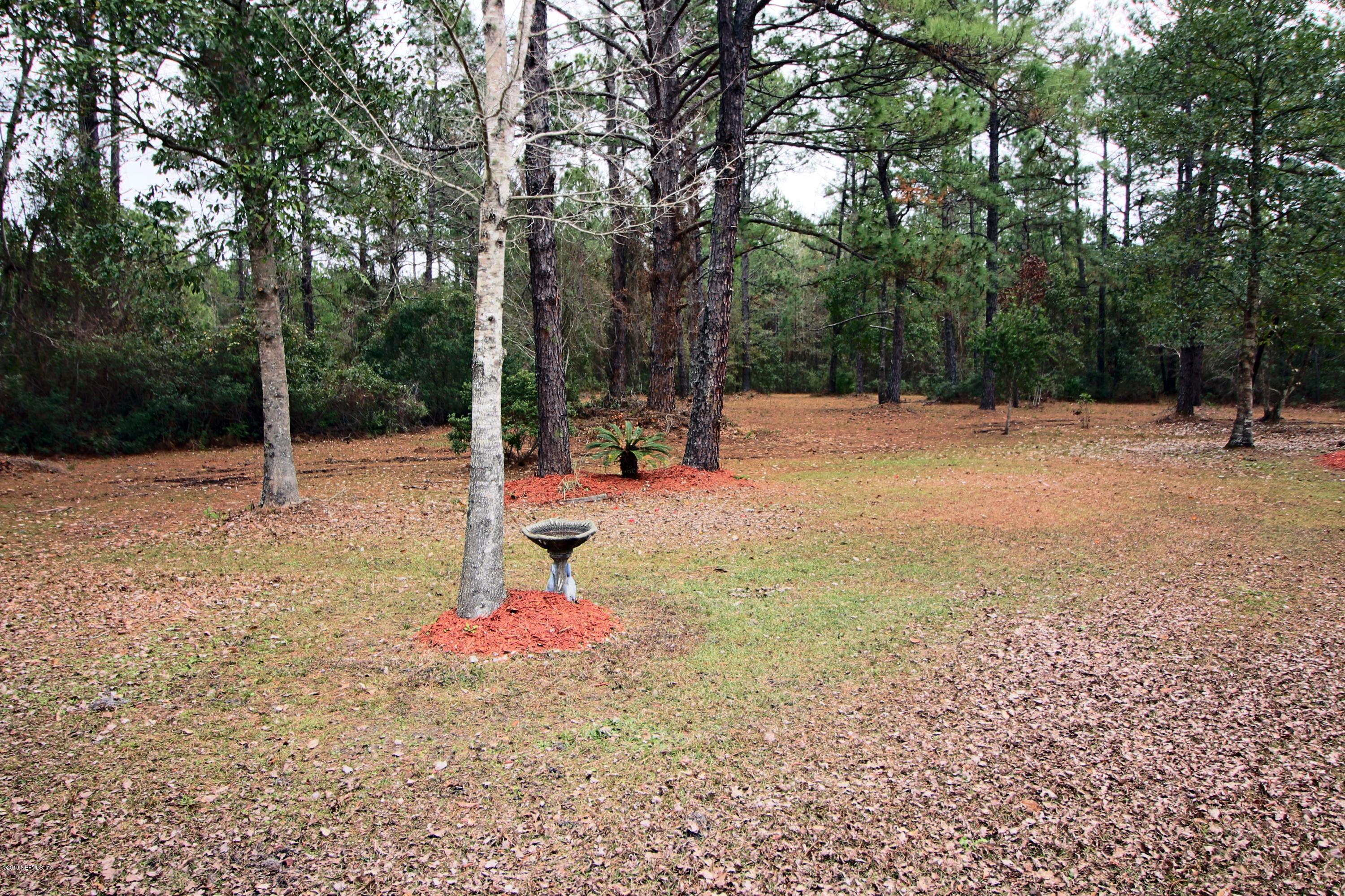 6055 Trawick Road Keystone Heights, FL 32656 - Photo 53 of 60 52) Beautiful Grounds